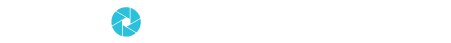 Detroit Stock City Logo